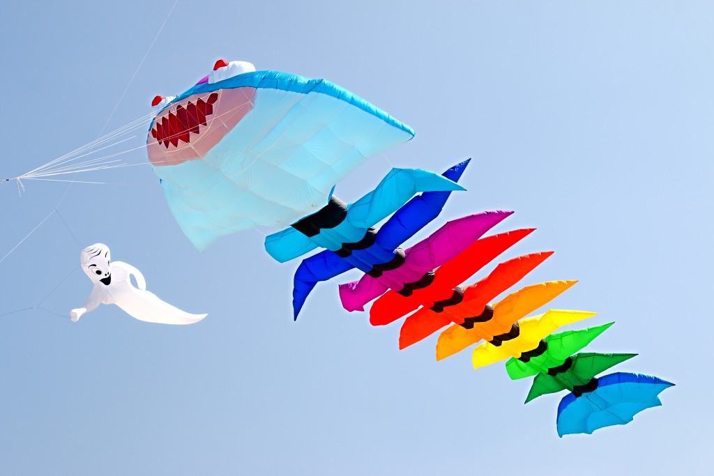 Cerfs-Volants vliegerfestival festival festiviteit evenement event berck sur mer vlieger speelgoed strand